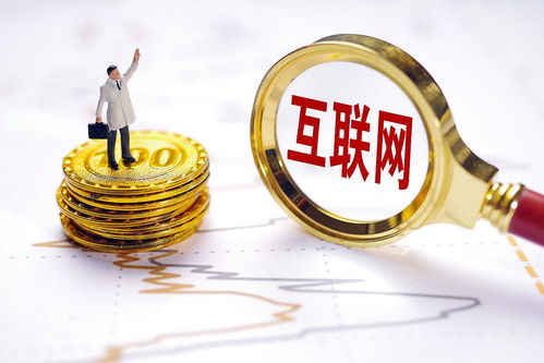 軟件定制開發 新一代軟件技術的標志性技術服務