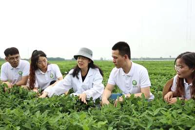 躬耕花生三十載 扎根農(nóng)田為科研——記河南農(nóng)業(yè)大學(xué)教授殷冬梅的農(nóng)業(yè)科技服務(wù)之路